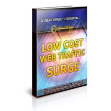 Low Cost Web Traffic Surge Unrestricted PLR Ebook